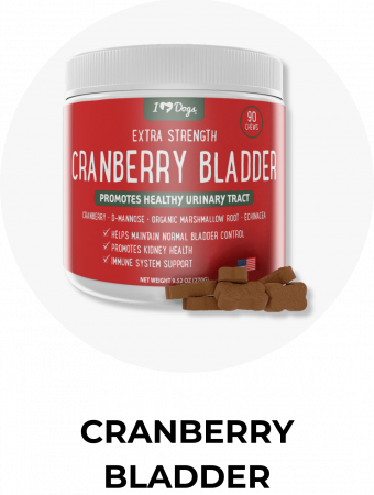 Cranberry Bladder